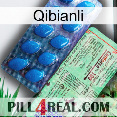 Qibianli new02